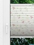 Flower Dream 3.885.58 Fensteransicht