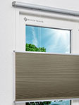 Honeycomb Grazia 2.362.77 Fensteransicht